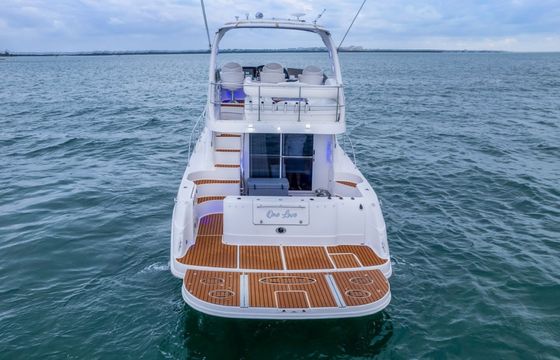 Sea Ray 48 One Love