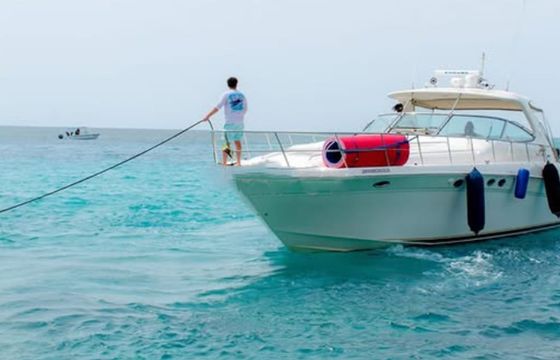 Sea Ray 540 Nisho