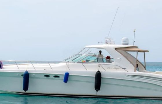 Sea Ray 540 Nisho