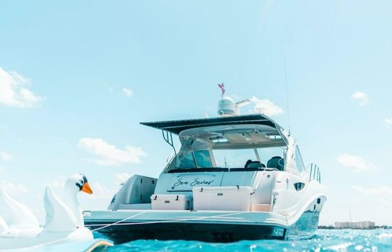 Sea Ray 52 Sea Senor