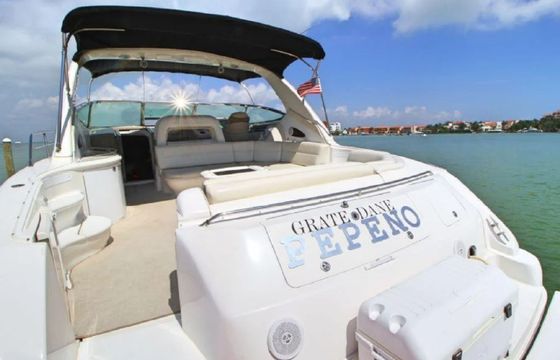 Sea Ray 60 Sundancer Pepeno