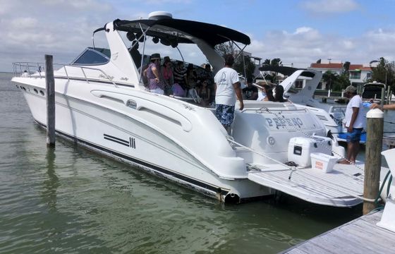 Sea Ray 60 Sundancer Pepeno