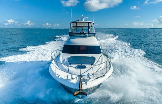Sea Ray 550 Sedan Bridge Pure Vida