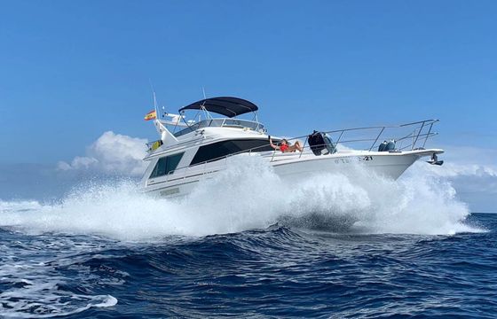 Sea Ray Sedane Bridge 400 Mayantigo
