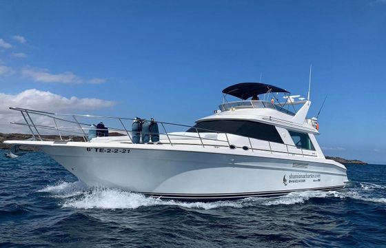 Sea Ray Sedane Bridge 400 Mayantigo