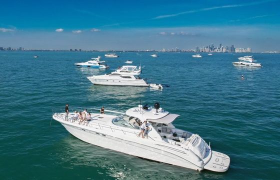 Sea Ray 580 Nemesis