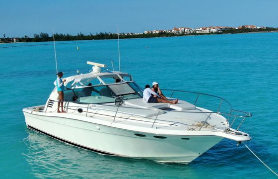 Sea Ray Sundancer 40 Vixen