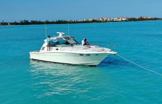 Sea Ray Sundancer 40 Vixen