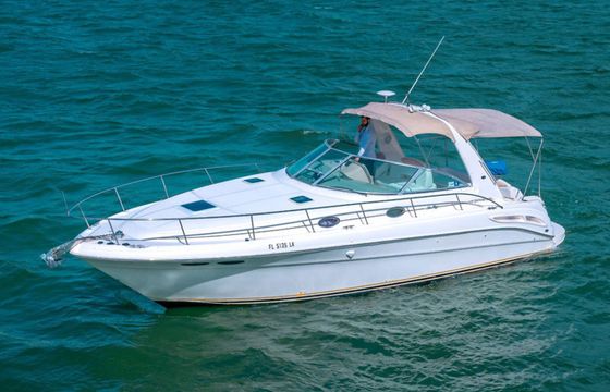 Sea Ray Sundancer 340 Finally