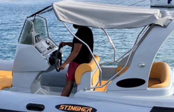 Stingher 22 Diablo