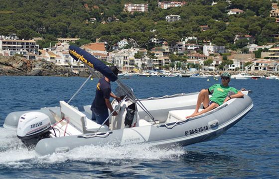 Stingher 500 10