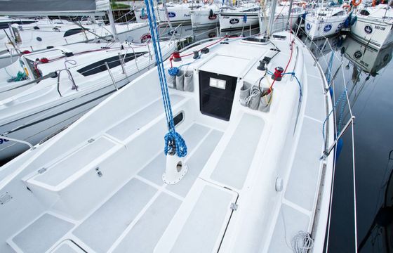 Sedna 30 Berenika