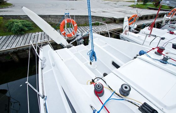 Sedna 30 Berenika
