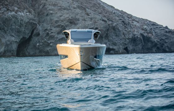 Tesoro T50 Goldfinger