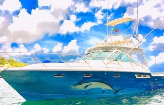 Tiara 3900 MyDream