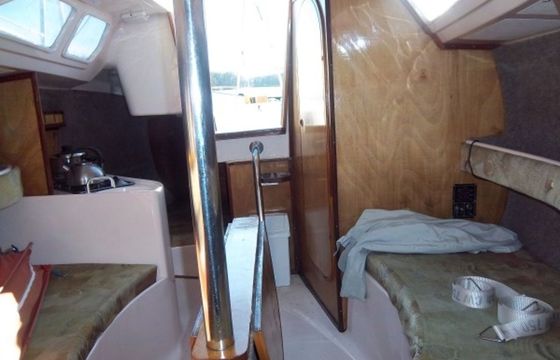 Tes 678 Grappa