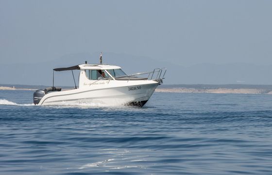 Sessa Dorado 22 10