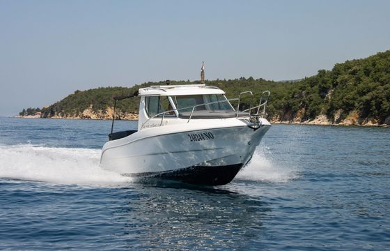 Sessa Dorado 22 10