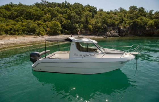 Sessa Dorado 22 10