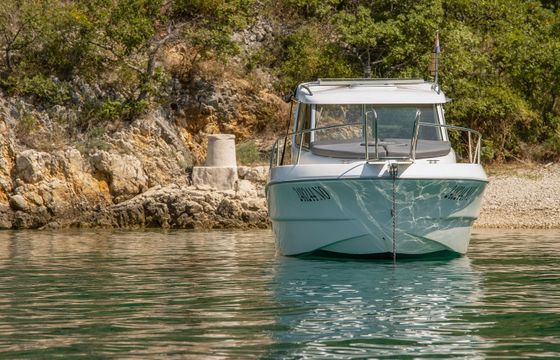 Sessa Dorado 22 10