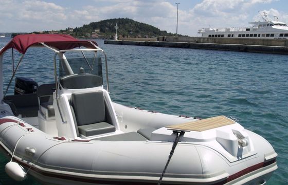 Tiger Marine 650 17