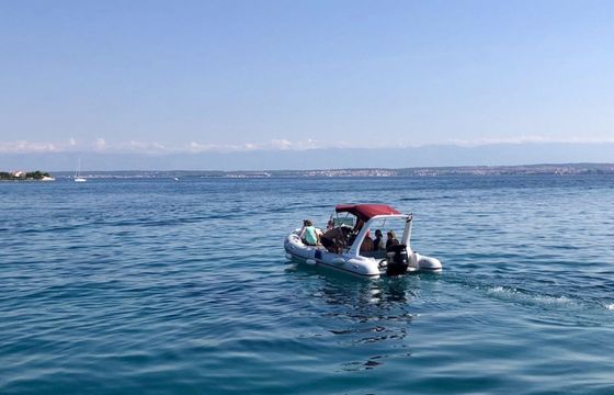 Tiger Marine 650 17