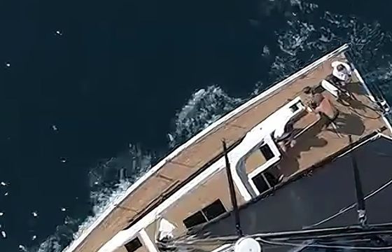 Solaris 44 Felice