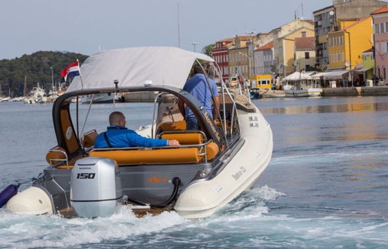 Shark 23 Leonarda