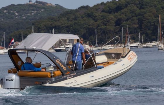 Shark 23 Leonarda