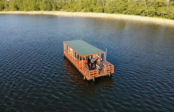 Tom Sawyer TS1000 Pascagoula