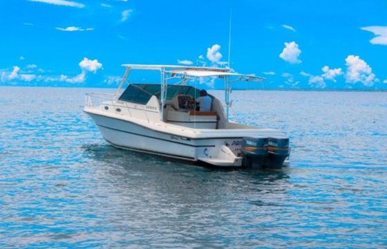 Stamas 30 Scorpio