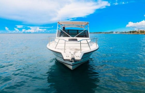 Stamas 30 Scorpio