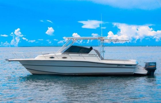 Stamas 30 Scorpio