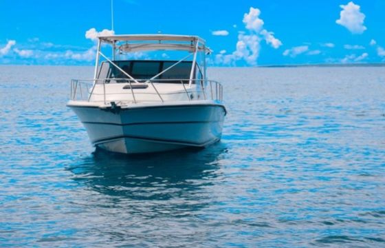 Stamas 30 Scorpio