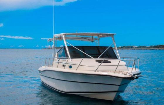Stamas 30 Scorpio