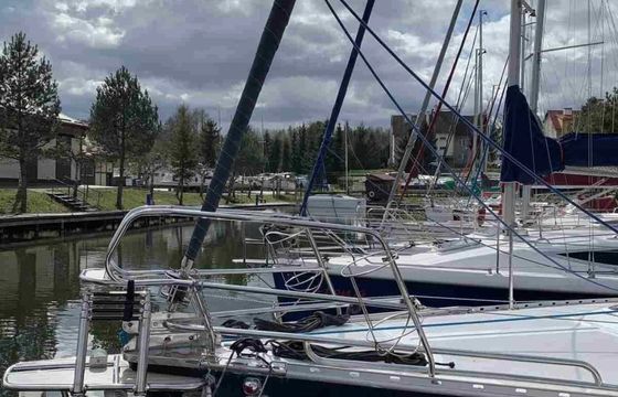 Tango 33 Midori