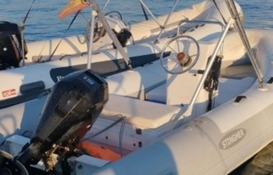Stingher 400 Tomas