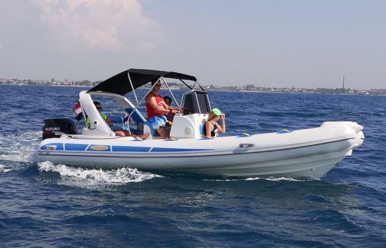 Stingher 606 14