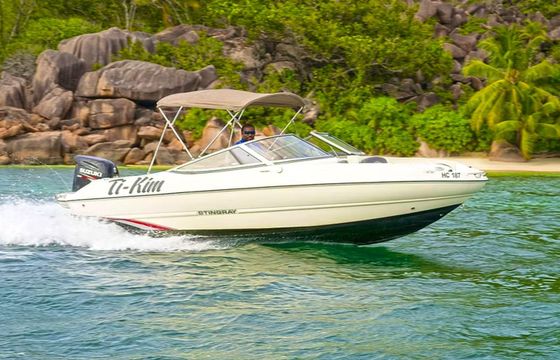 Stingray 204 Ti-Kim