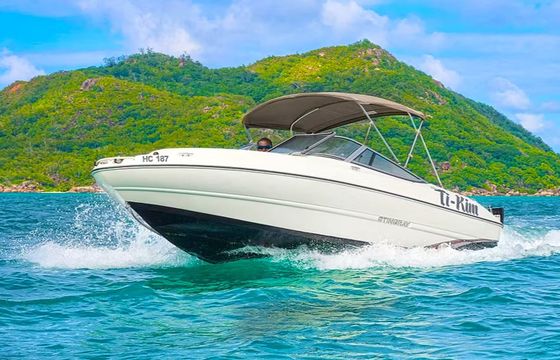 Stingray 204 Ti-Kim
