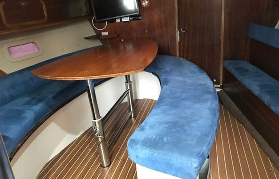 Twister 36 T36