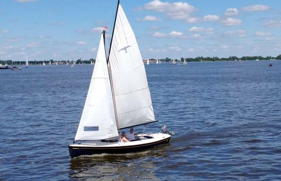 Valk Geuzenvalk Zomergast
