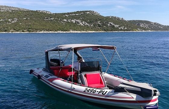 Tiger Marine 750 Tiger Marine 750 top line