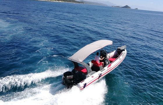 Tiger Marine 750 Tiger Marine 750 top line