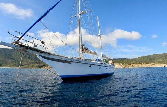 Vagabond 47 Novena