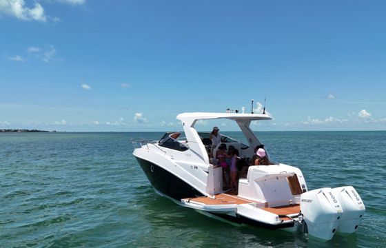 Ventura V300 Daycruiser