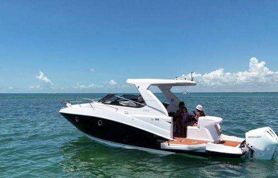 Ventura V300 Daycruiser