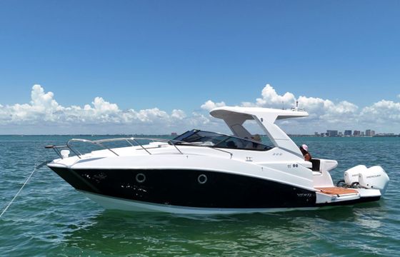 Ventura V300 Daycruiser