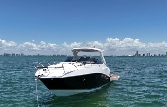 Ventura V300 Daycruiser