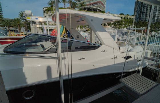 Ventura V300 Daycruiser
